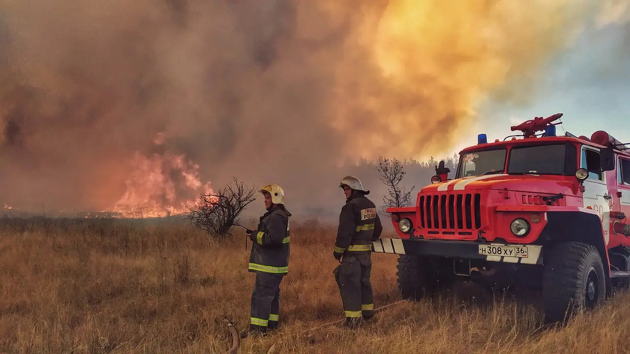 Image of The-Crucial-Role-of-Fire-Files-and-Safes-in-Wildfire-Preparedness NationwideSafes.com