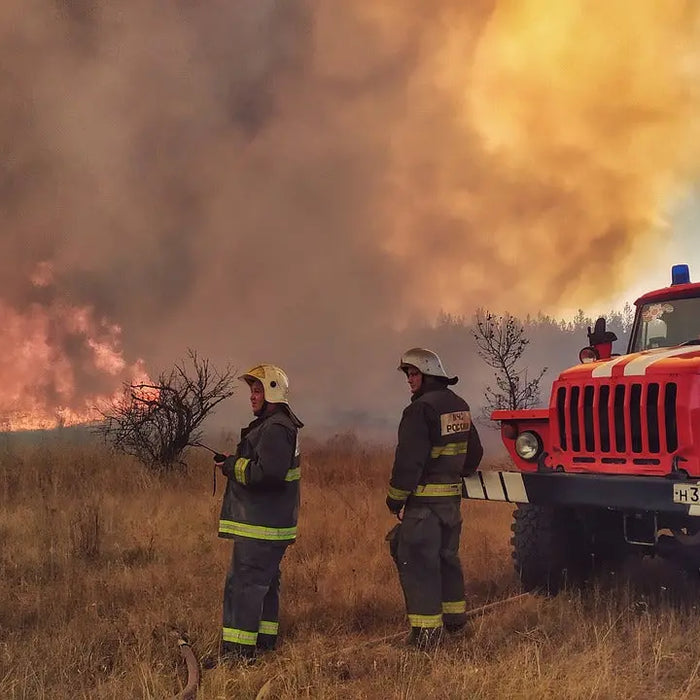 Image of The-Crucial-Role-of-Fire-Files-and-Safes-in-Wildfire-Preparedness NationwideSafes.com