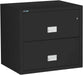 Image of Fire & Water Rated 2-Drawer Lateral File Cabinet (28.8 x 31 x 23.6)--F30240  NationwideSafes.com