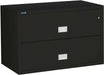 Fire & Water Rated 2-Drawer Lateral File Cabinet (28.8 x 44 x 23.6)--F30250  NationwideSafes.com