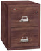 Image of Fireproof File: 2 Drawers, Letter, 18"W, 25"D | 2-1825-C, Designer  NationwideSafes.com
