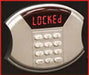 Steel Safe with Digital Keypad [0.6 Cu. Ft.]--9190  NationwideSafes.com