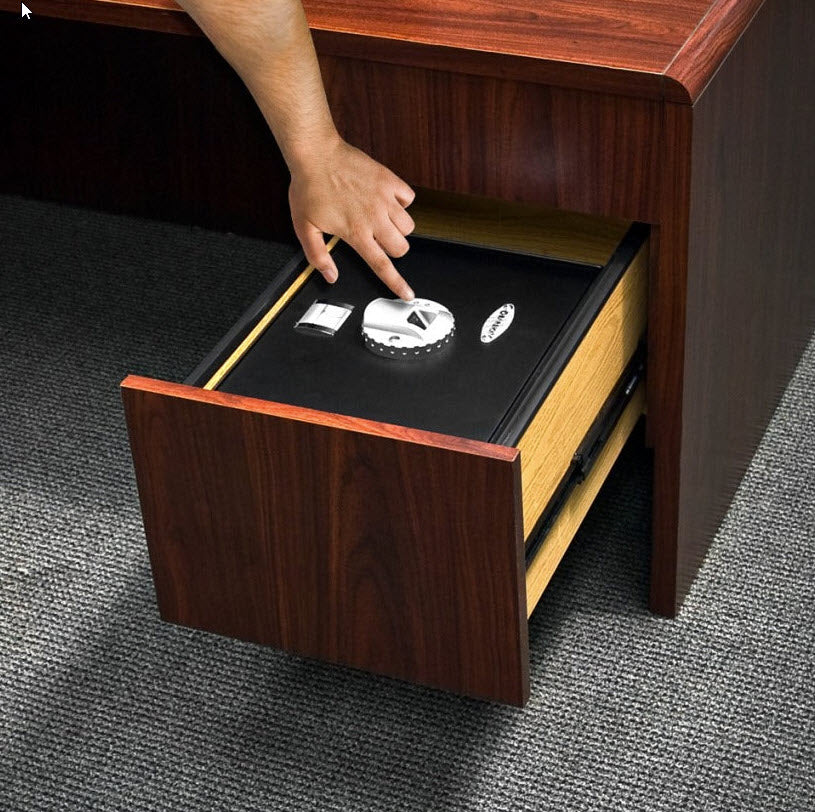 Image of Biometric Fingerprint Safes